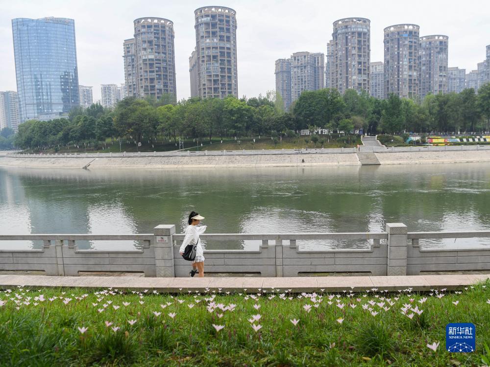 菲律宾共赢集团